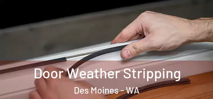 Door Weather Stripping Des Moines - WA