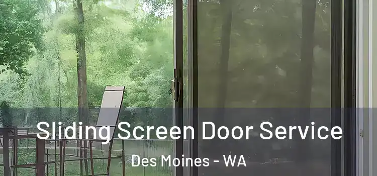 Sliding Screen Door Service Des Moines - WA